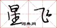 段相林星飞行书怎么写
