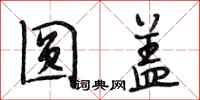 段相林圆盖行书怎么写