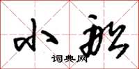 朱锡荣小船草书怎么写