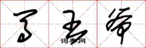 朱锡荣马王爷草书怎么写