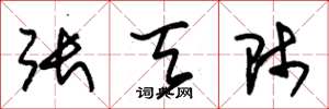 朱锡荣张天师草书怎么写