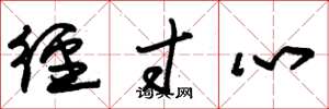 朱锡荣径寸心草书怎么写