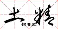 朱锡荣土精草书怎么写