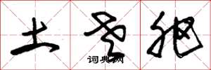 朱锡荣土老肥草书怎么写