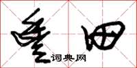 朱锡荣丰田草书怎么写