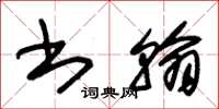 朱锡荣书翰草书怎么写