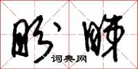 朱锡荣盼睇草书怎么写