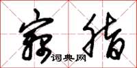 朱锡荣窃脂草书怎么写