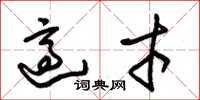 朱锡荣适才草书怎么写