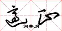 朱锡荣适正草书怎么写