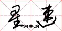 朱锡荣星速草书怎么写