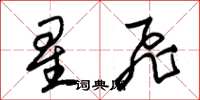 朱锡荣星飞草书怎么写