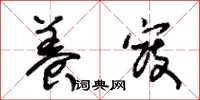 朱锡荣养寇草书怎么写