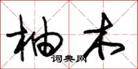 朱锡荣柚木草书怎么写