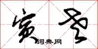 朱锡荣宾老草书怎么写