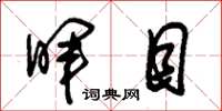 朱锡荣晖目草书怎么写
