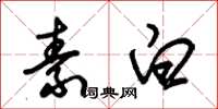 朱锡荣素白草书怎么写