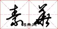 朱锡荣素华草书怎么写