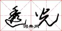 朱锡荣透光草书怎么写