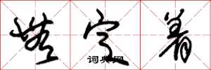 朱锡荣无定着草书怎么写