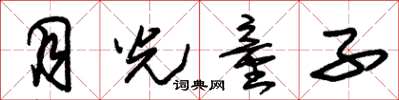 朱锡荣月光童子草书怎么写