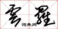 朱锡荣云罗草书怎么写