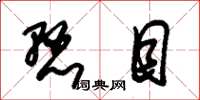 朱锡荣悬目草书怎么写