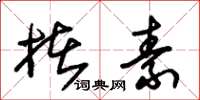 朱锡荣楮素草书怎么写