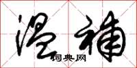 朱锡荣温补草书怎么写