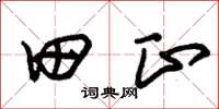 朱锡荣田正草书怎么写
