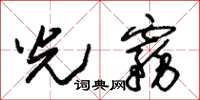 朱锡荣光雾草书怎么写