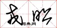 朱锡荣戎昭草书怎么写
