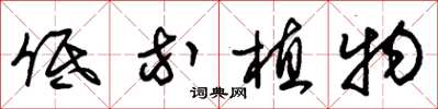 朱锡荣低等植物草书怎么写
