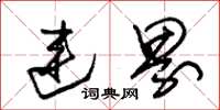 朱锡荣连界草书怎么写