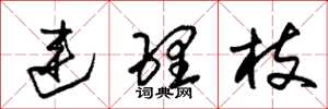 朱锡荣连理枝草书怎么写
