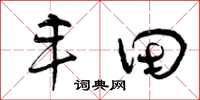 曾庆福丰田草书怎么写