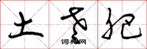 曾庆福土老肥草书怎么写