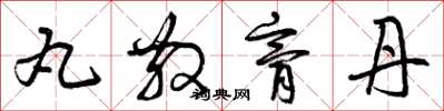 曾庆福丸散膏丹草书怎么写