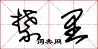 朱锡荣禁里草书怎么写