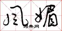 曾庆福风媚草书怎么写