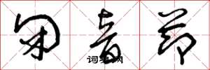 曾庆福闭音节草书怎么写