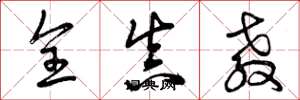 曾庆福全真教草书怎么写