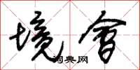 朱锡荣境会草书怎么写