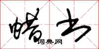 朱锡荣蜡书草书怎么写