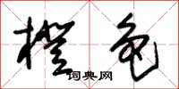 朱锡荣橙色草书怎么写