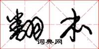 朱锡荣翻本草书怎么写