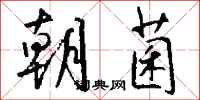 钱沛云朝菌行书怎么写
