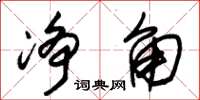 朱锡荣净角草书怎么写