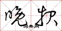 曾庆福晚报草书怎么写