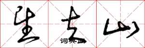 曾庆福望夫山草书怎么写